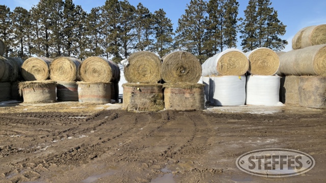 (20 Bales) 4x5.5 rounds